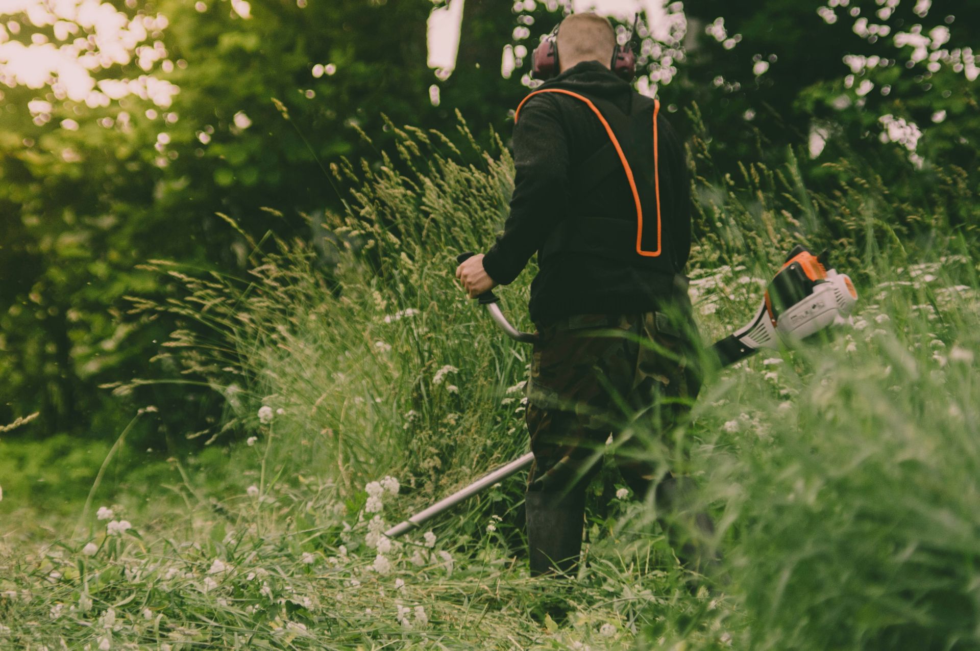 Servizi di giardinaggio e manutenzione esterna